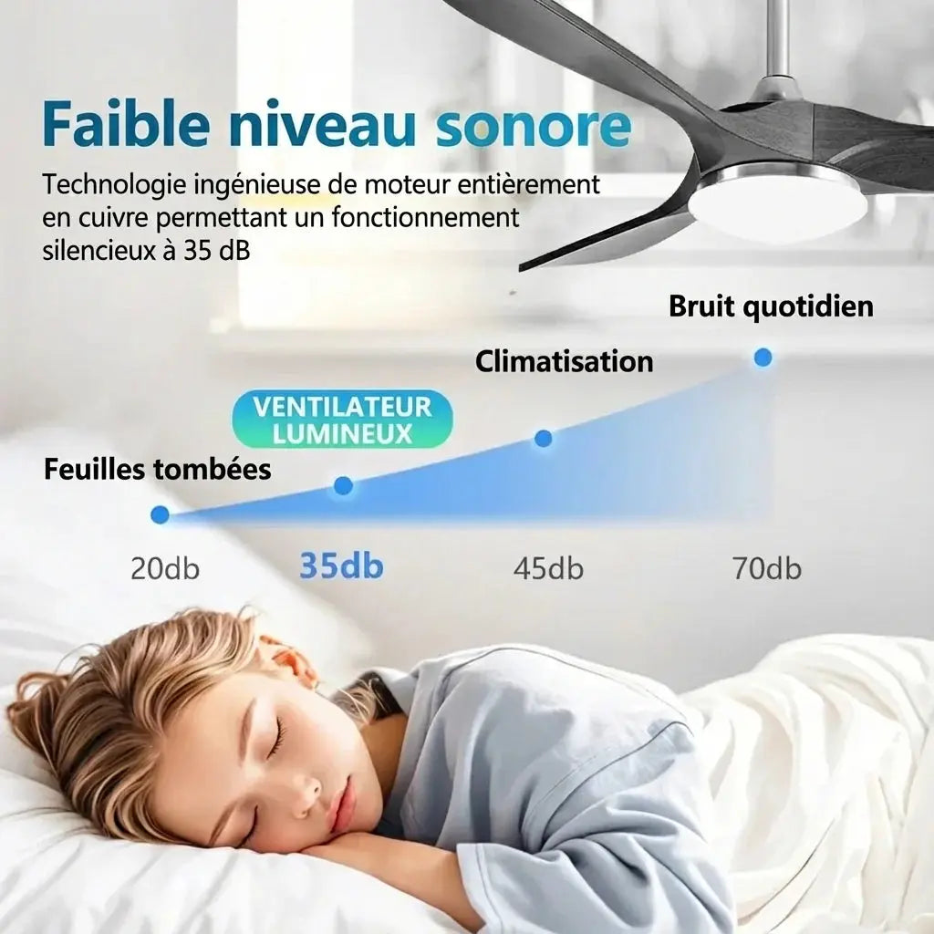 Ventilateur de plafond noir ultra-plat sans éclairage Oléa